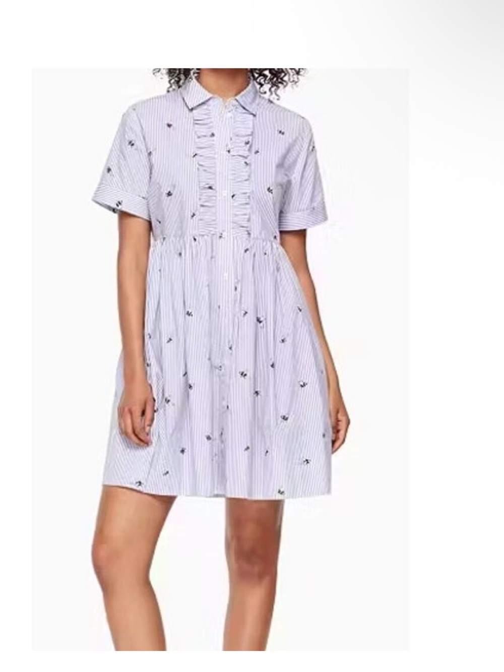 Kate spade NWOT Small Abuzz poplin dress embroidered